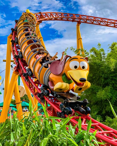 Slinky Dog Dash, Cheer Photography, Disney World Hollywood Studios, Slinky Dog, Toy Story Land, Disney Florida, Disneyland Castle, Disney World Rides, Fav Place