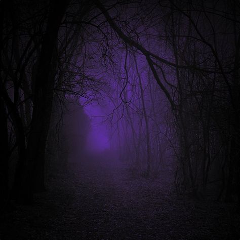 Nature, Dark Purple Athstetic, Purple Woods Aesthetic, Ethereal Purple Aesthetic, Wolfsbane Aesthetic, Midnight Purple Aesthetic, Moon Witchcraft, Purple Punk, Metal Aesthetic