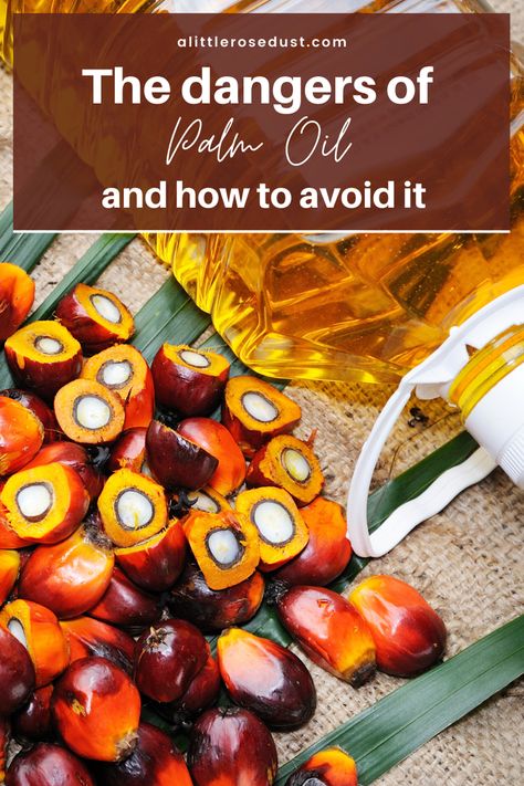 Ever heard of palm oil? Chances are, it’s in over half the food in your pantry. So what’s the big deal then? The palm oil industry is destroying out planet do to the high demand. Read more about it here! Oil Industry, Zero Waste Living, Zero Waste Lifestyle, Packaged Food, Personal Care Products, Reduce Waste, Sustainable Lifestyle, Palm Oil, The Palm