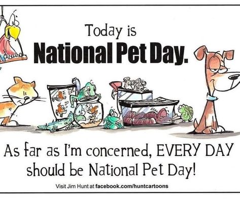 Every day is #NationalPetDay in this house. Celebrating #KatieVin and honoring #Diezel today. 🤎🐾 #dogsofinstagram #dogsofinsta #instagramdogs Funny Cartoon Drawings, Love Your Pet Day, Class Pet, Medication For Dogs, National Pet Day, Dog Insurance, Pet Day, Love Your Pet, Day Quotes