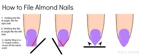An infographic on how to file almond nails As many of you will know, having almond nails is a relatively new thing for me.  At first I had some major concerns on whether or not I should change my n… Nail Tutorials, File Nails, How To Cut Nails, Pointed Nails, Almond Shape Nails, Almond Nail, Popular Nails, Nail Shape, Nail Shapes