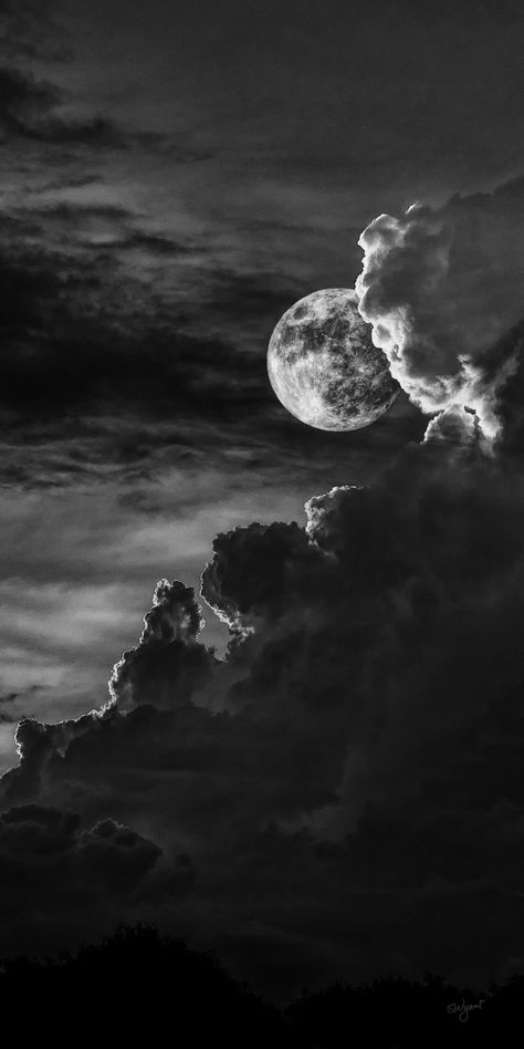 🌕 Moonlight Elegance 🌌 - Explore the beauty of the night sky in this enchanting black and white photograph. The moon's soft glow weaves through billowy clouds, creating a mesmerizing dance of light and shadow. Let the moon's mystique capture your imagination. #MoonlightMagic #NightSky #Photography Black Lighting Wallpaper, Night Sky Black And White, Black And White Sky, Moon Black And White, Black And White Moon, Black And White Clouds, Night Clouds, Moonlight Photography, White Figures