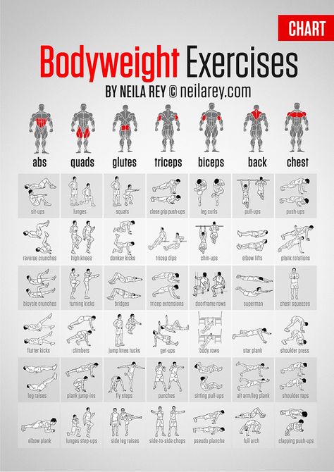 Imgur: The most awesome images on the Internet Full Body Workouts, Lichaamsgewicht Training, Motivație Fitness, Bolesti Chrbta, Core Strengthening Exercises, Muscle Abdominal, Ab Routine, Fitness Routines, Bodyweight Exercises