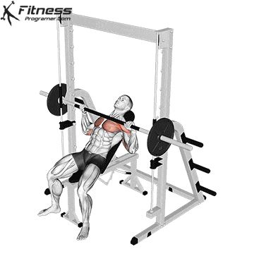 Workout Plan Builder Incline Dumbbell Bench Press, Chest Workout Smith Machine, Smith Machine Bench Press, Smith Machine Chest Workout, Bench Press Machine, Smith Machine Workout, Incline Bench Press, Dumbbell Back Workout, Gym Back Workout