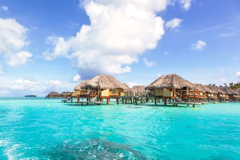 Spend the Night in an Overwater Bungalow Bora Bora, Tropical Airbnb, Best Bucket List, Dream Vacation Spots, Airbnb Rentals, Overwater Bungalows, Honeymoon Ideas, Tropical Destinations, Bucket List Destinations