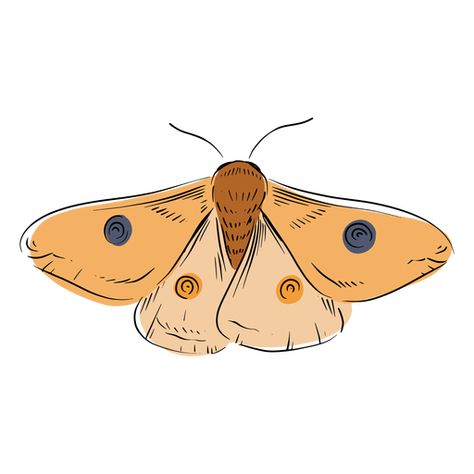 Moth illustration #AD , #Ad, #sponsored, #illustration, #Moth Moth Drawing Wallpaper, Moths Drawing Simple, Moth Illustration Cute, Moth Cartoon Drawing, Moth Illustration Simple, Moth Easy Drawing, Moth Drawing Aesthetic, Moth Reference Drawing, Easy Moth Painting