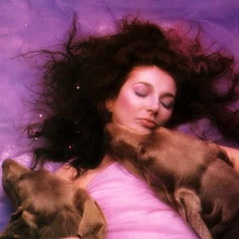 Hounds of Love Hounds Of Love, Kate Bush, Female Singers, Record Producer, Female Artists, Album Covers, Rock And Roll, Of Love, Musician