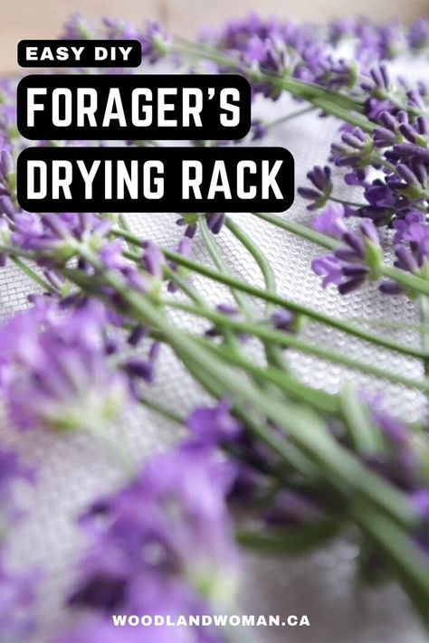 Drying Rack For Herbs, Diy Flower Drying Rack, Herb Drying Rack Diy, Flower Drying Rack, Diy Herb Drying Rack, Preserve Herbs, Drying Rack Diy, Flower Drying, Herb Drying Rack