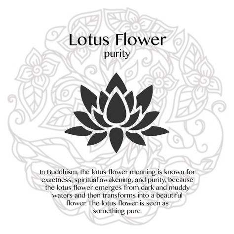 Cat Tattoos, Polynesian Tattoos, Tattoo Inspiration, Flower Lotus Tattoo, Symbole Tattoo, Lotus Flower Meaning, Simbolos Tattoo, Yoga Symbols, Inspiration Tattoos