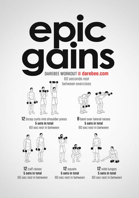 Epic Gains Workout Darbee Workout, Dumbbell Workout Plan, Dumbbell Workout At Home, Workout Program Gym, Dumbell Workout, Gym Workout Chart, Workout Routine For Men, Workout Training Programs, Calisthenics Workout