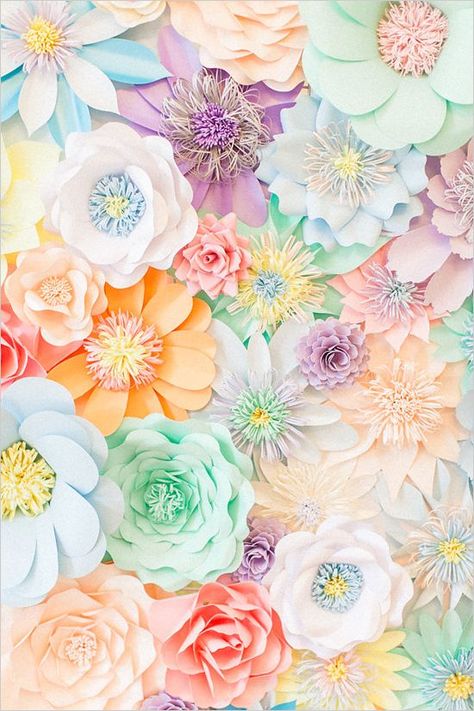 Paper Flower Backdrop Frühling Wallpaper, Pastel Color Wallpaper, Visuell Identitet, Pastel Background Wallpapers, Iphone Arkaplanları, Wallpaper Flower, Paper Flowers Wedding, Pastel Paper, Wallpaper Pastel