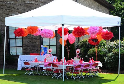 Party Tent Decorations, Lila Party, Tent Decor, Puff Balls, Polka Dot Birthday, Elmo Birthday Party, Elmo Party, Tent Decorations, Tissue Paper Pom Poms