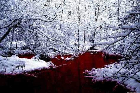 Blood stream in snow Blood On Snow, Art Bizarre, Blood Wallpaper, Fall Scenery, Red Lake, Creepy Christmas, Red Water, Blood Art, Arte Obscura