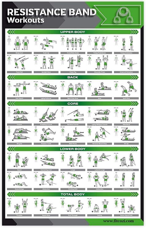 Excersise Band Workout, Resistant Band Workouts, Exercise Poster, Body Squats, Bands Workout, Mat Pilates Workout, Workout Programs For Women, Resistance Band Training, Band Exercises