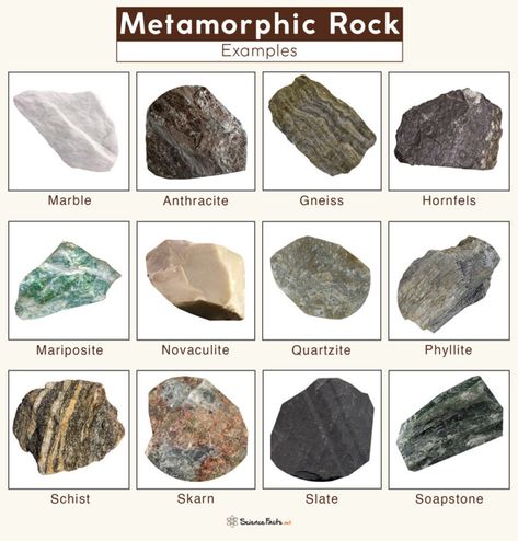 Metamorphic Rocks Examples, Rock Identification Pictures, Sedimentary Rock Formation, Different Types Of Rocks, Raw Gemstones Rocks, Geology Humor, Color Definition, Rock Identification, Rock Hunting