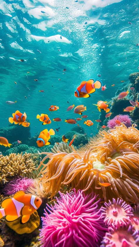 Vibrant Underwater Life: Clownfish swim peacefully among the colorful sea anemones in a serene, underwater coral landscape. #underwater #clownfish #anemones #coral #marine #ocean #vibrant #colorful #aiart #aiphoto #stockcake https://ayr.app/l/wxML Hawaii Ocean Wallpaper, Clown Fish Wallpaper Iphone, Under Water Fishes, Colorful Ocean Fish, Pictures Of Coral Reef, Underwater Ocean Wallpaper, Underwater Life Painting, Under Sea Photography, Sealife Photography Ocean Life