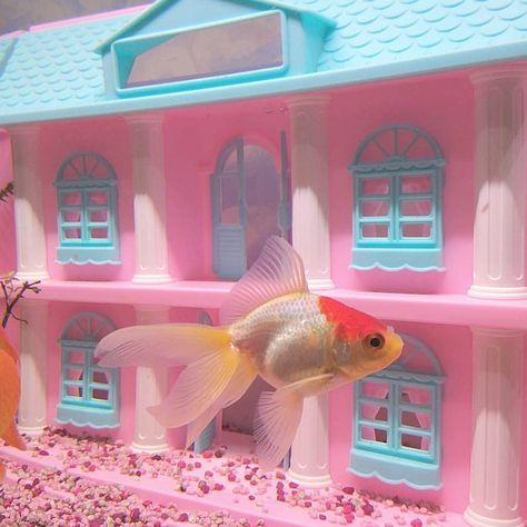 Pink Fish Tank, Fish Tank Themes, Puppy Decor, Fish Tank Terrarium, Girly Decor, Pink Palace, Pink Fish, Pastel Grunge, Fish Tank Decorations
