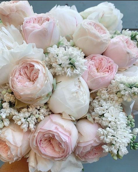 Boquette Flowers, Nothing But Flowers, Peonies Garden, Flower Therapy, Peonies Bouquet, Beautiful Bouquet Of Flowers, Luxury Flowers, Flower Aesthetic, Beautiful Bouquet