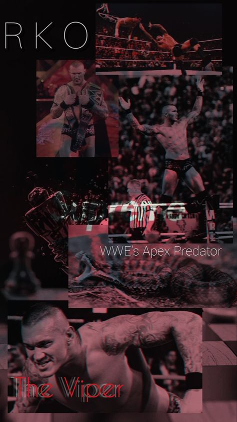 Randy Orton Wallpapers, Wwe Randy Orton, Marc Spector, Randy Orton Wwe, Mauro Icardi, Mortal Kombat X, Wwe Wallpapers, Apex Predator, Basketball Wallpaper