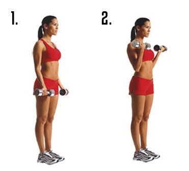 Dumbbell Bicep Curl Exercise To Reduce Arms, Upper Body Workout Routine, Thursday Workout, Biceps Curl, Dumbbell Bicep Curl, Weight Routine, Dumbbell Curls, Dumbell Workout, Lose Arm Fat