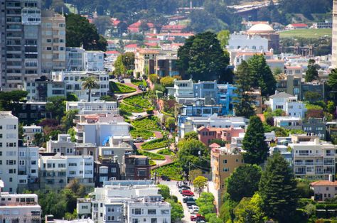 15 Reasons Living In San Francisco Is The Best - And Everyone Should Move Here California Vacation Ideas, Urban Playground, Moving To San Francisco, Living In San Francisco, California Vacation, Golden Gate Park, Redwood Forest, Alpine Lake, Go Hiking