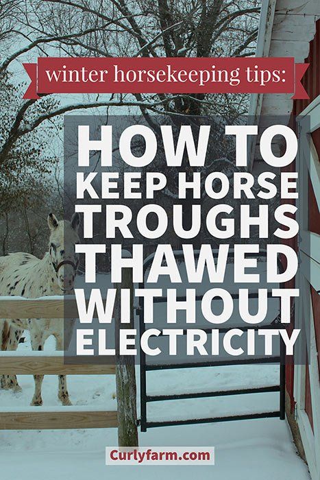 taking care of horses in winter storms How To Keep Water Troughs From Freezing, Horse Stall Feeders, Horse Water Trough Ideas, Salt Water Jugs For Horse Trough, Horse Stall Water Ideas, Horse Feeder Ideas, Taking Care Of Horses, Horse Stalls Diy, Horse Water Trough