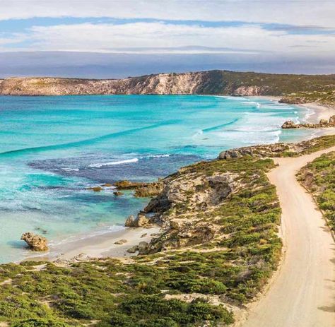 Kangaroo Island Australia, King Island, Eyre Peninsula, Australia Kangaroo, Road Trip Places, Kings Island, Camping Holiday, Kangaroo Island, Wedding 2025