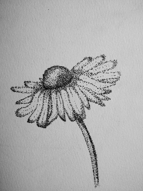 Dot Pen Drawing, Dotted Art Drawing, Stipple Art Easy, Easy Stippling Art, Stipling Ideas Easy, Natural Forms Drawings, Stippling Art Ideas Easy, Dot Drawing Simple, Stipple Flowers