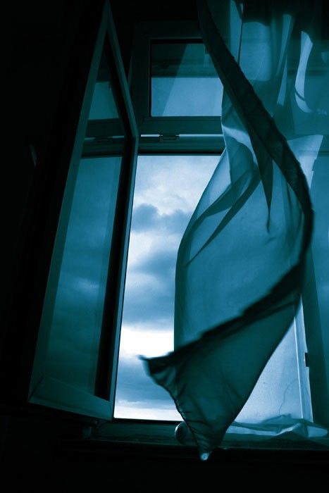 through the window Akita, Blowin' In The Wind, Foto Art, Window View, Open Window, Through The Window, Summer Breeze, Fotografi Potret, Blue Aesthetic