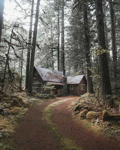 That Cabin Life Aesthetic - Imgur Deep Woods Cabin, Mountain Cabin Exterior, Simple Cabin, Little Cabin In The Woods, Haus Am See, Cabin Living, Little Cabin, Cabin In The Woods, Cabins And Cottages