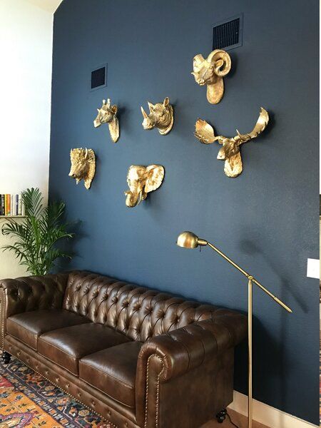 Union Rustic Faux Taxidermy Bison Head Wall Décor | Wayfair Bison Head, Faux Animal Head, Animal Head Wall Decor, Moose Head, Animal Wall Decor, Faux Taxidermy, Accent Wall Decor, Support Mural, Grey Yellow