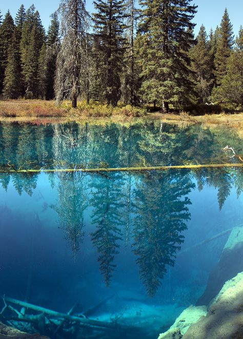 Photographing Oregon Little Crater Lake, Mt. Hood National Forest. Crystal clear waters and cold! Clear Lake Oregon, Arches National Parks, National Parks Utah, Crater Lake Oregon, Oregon Road Trip, Crater Lake National Park, Lake Photography, Mt Hood, Scenic Photography