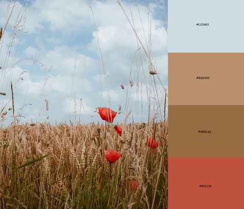 Color palette cornfield summer poppies Ukraine Design, Poppy Color, Orange Poppy, Wild Grass, Poppy Field, Bathroom Art, Colour Palettes, Color Pallets, Guest Bedroom