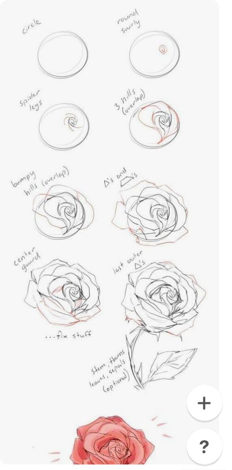 Hur Man Ritar Blommor, Watercolor Rose Painting, Sketch Rose, Rose Line Art, Rose Sketch, Flower Drawing Tutorials, Flower Art Drawing, Flower Sketches, Floral Drawing