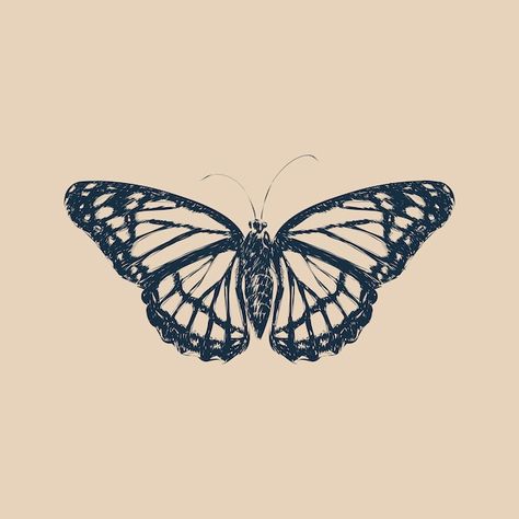 Vintage Butterfly Drawing, Butterfly Illustration Art, Vintage Butterfly Tattoo, Sketch Butterfly, Butterfly Line Drawing, Vector Butterfly, Illustration Butterfly, Bugs Drawing, Unique Butterfly Tattoos