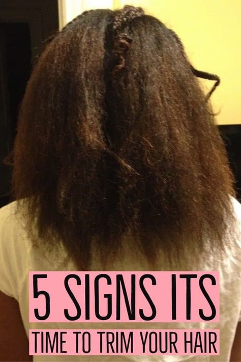 Signs You Need to Trim Your Natural Hair - Joanna E Healthy Hair Regimen, Homemade Hair Treatments, Hair Care Growth, Natural Hair Care Tips, Hair Trim, Extreme Hair, Hair Regimen, Homemade Hair Products, Healthy Natural Hair