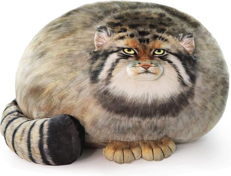 PRICES MAY VARY. 【Soft Material】The steppe cat plush is made of super comfortable plush fabric and high-quality PP cotton filling, 100% safe and natural material, giving you a skin-friendly touch feeling. 【Widely Applicable】The reversible Manul cat plush appeals to all ages from toddlers to adults, and can not only be used as decorative pillows for beds, offices, cars and every place you like, but also can be used to release stress. 【Funny Decor】This steppe cat plush pillow toy is suited for hom Pallas Cat, Big Plush, Plush Pillow, Cat Plush, Gift For Girls, Body Pillow, Toys Gift, Plush Toys, Stuffed Animals