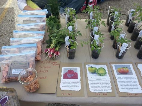 Farmers Market Price List, Farmers Market Stand Diy, Farmers Market Craft Ideas, Farmers Market For Preschool, Farmers Market Pop Up, Farmers Market Product Ideas, Stuff To Sell At Farmers Market, Selling Herbs At Farmers Market, Kids Farmers Market Ideas