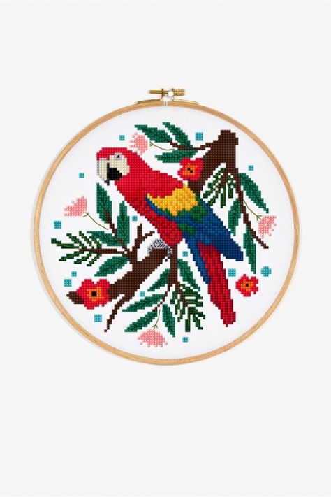 Cute Parrot, Animal Cross Stitch Patterns, Cross Stitch Patterns Flowers, Parrot Bird, Pattern Modern, Cross Stitch Patterns Free, Free Cross Stitch, Free Sign, Modern Cross