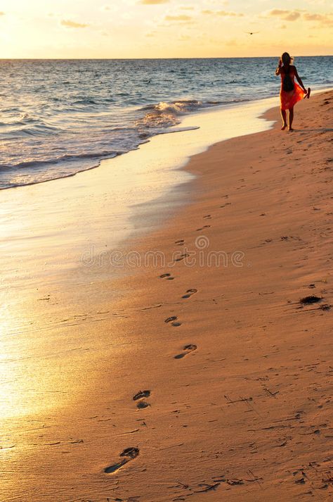 Woman walking on beach. Woman walking on tropical beach at sunrise , #Affiliate, #walking, #Woman, #beach, #sunrise, #tropical #ad Walking In The Beach, Woman Walking On Beach, Sunrise Tropical, Walking Pictures, Walking On Beach, Tropical Sunrise, Beach At Sunrise, Walking On The Beach, Beach Sunrise