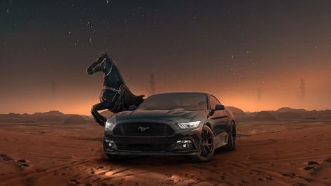 We Collect the Most Beautiful 4K photos for you on our site. You can go to our site and download Many Pictures for Free. Click to go to the site: https://www.pixel4k.com/ Ford Mustang Aesthetic Wallpaper, Black Car Mustang, Gt Mustang Wallpaper, Black Mustang Gt Wallpaper, Ford Mustang Gt Wallpaper, Mustang Cars Wallpapers, Mustang Gt Wallpaper, Siyah Mustang, Ford Gt Mustang