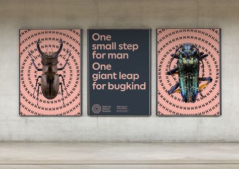 Pentagram and Nomad create new branding for London's Natural History Museum | Creative Boom Nature, Museum Identity, Museum Branding, Brand Palette, Central Idea, Dinosaur Skeleton, Natural History Museum, Circular Pattern, Visual Representation