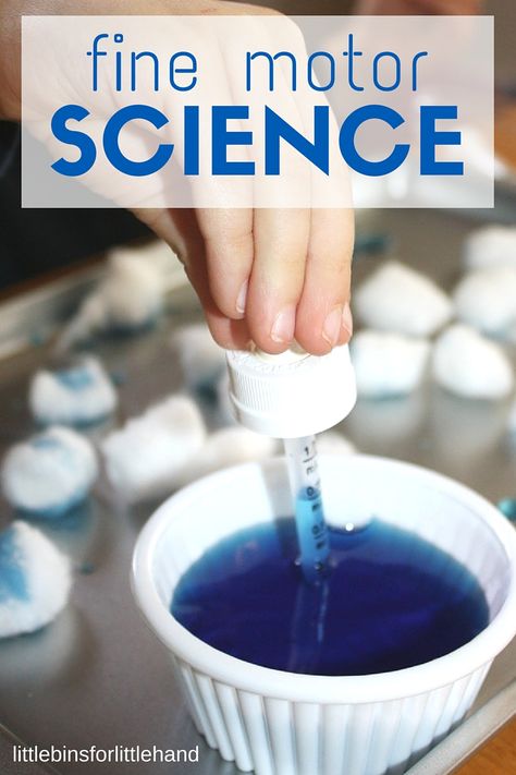 This simple water absorption fine motor science experiment is perfect for young children and very easy to set up! Fun fine motor play. Montessori, Water Play Activities For Preschoolers, Water Experiments For Kids, Water Properties, Weather Activities Preschool, Pre-k Science, Preschool Weather, Weather Theme, Fine Motor Activities For Kids