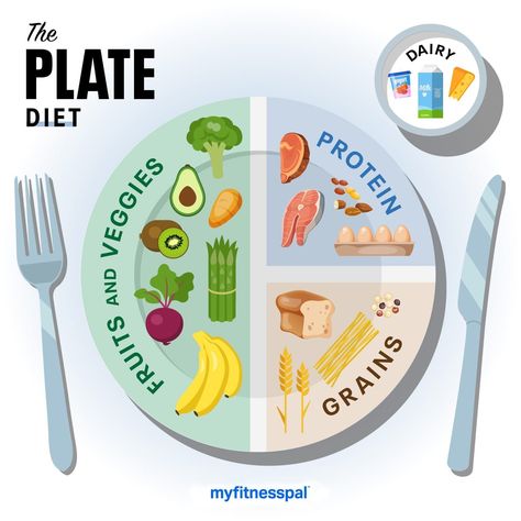 10 Things to Know About the Plate Diet Essen, Plate Diet, Healthy Food Plate, Nutrition Plate, Milk Diet, Diet Plate, Healthy Eating Plate, Protein Fruit, Healthy Plate