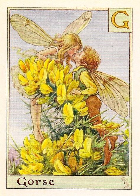 Flower Fairies Tattoo, Alphabet Fairies, Fairies Tattoo, Alphabet Flower, Flower Fairies Books, 4 Tattoo, Fairy Illustration, Cicely Mary Barker, Fairy Tattoo