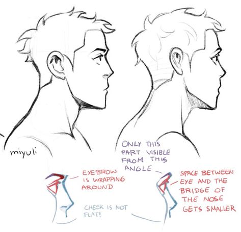 Artist Tutorials, Profile Drawing, Anime Tutorial, Reference Drawing, 3d Drawings, Anatomy Drawing, Body Drawing, Guided Drawing, Art Tutorials Drawing