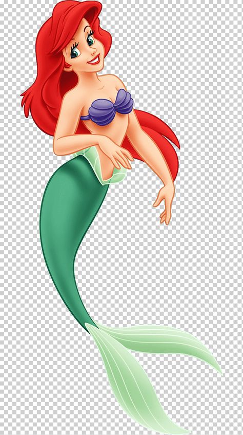 Ariel Cartoon, Disney Princess Png, Ariel Drawing, Little Mermaid Characters, Disney Png, Mermaid Cartoon, Princess Illustration, Image Princesse Disney, Disney Princess Cartoons