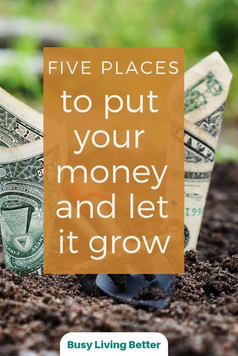 This article helped me learn more about what places I can put my money to let it grow over time. I  loved how detailed it was in explaining each investment vehicle and tells you how you can expect to invest in them. It also explains how each helps you save money, grow your money over time, and become more financially healthy by using these investments. I loved this article! #finance #investing #savemoney #makemoney Let It Grow, Money Management Advice, Money Advice, Finance Investing, Budgeting Finances, Budgeting Money, Financial Tips, Investing Money, Financial Advice