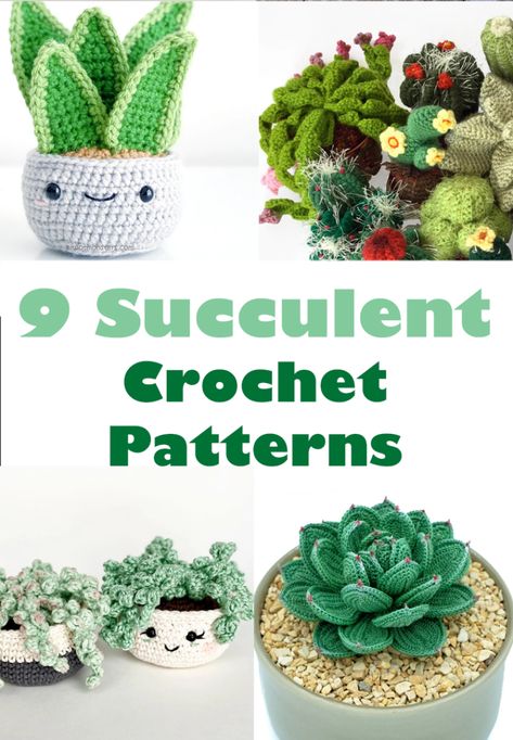 Amigurumi Patterns, Crochet Cactus Free Pattern, Succulent Crochet, Crochet Succulent, Crochet Garden, Quick Crochet Patterns, Crochet Cactus, Crochet Turtle, Aesthetic Crochet