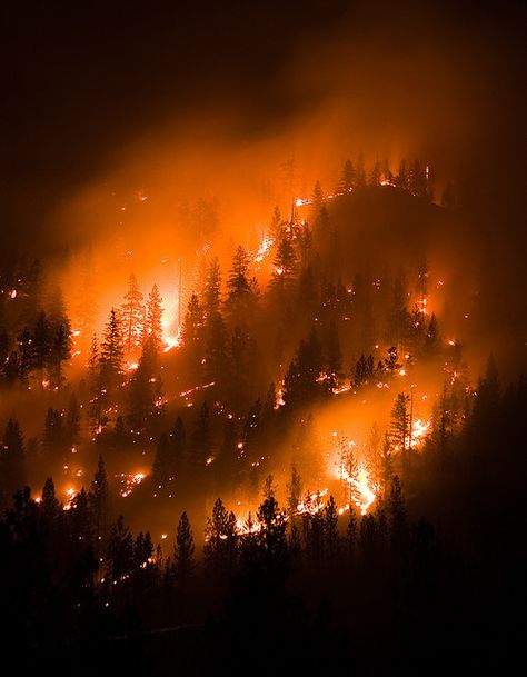 montana wildfire, forest fire | Flickr - Photo Sharing! Breathing Fire, Johanna Basford Enchanted Forest, Pastel Sec, Fire Photography, Wild Fire, Orange Aesthetic, Forest Fire, Life Is Strange, Fire And Ice